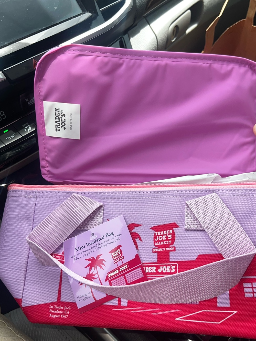 Trader Joe's Mini Insulated Tote Bag - Pink & Lavender